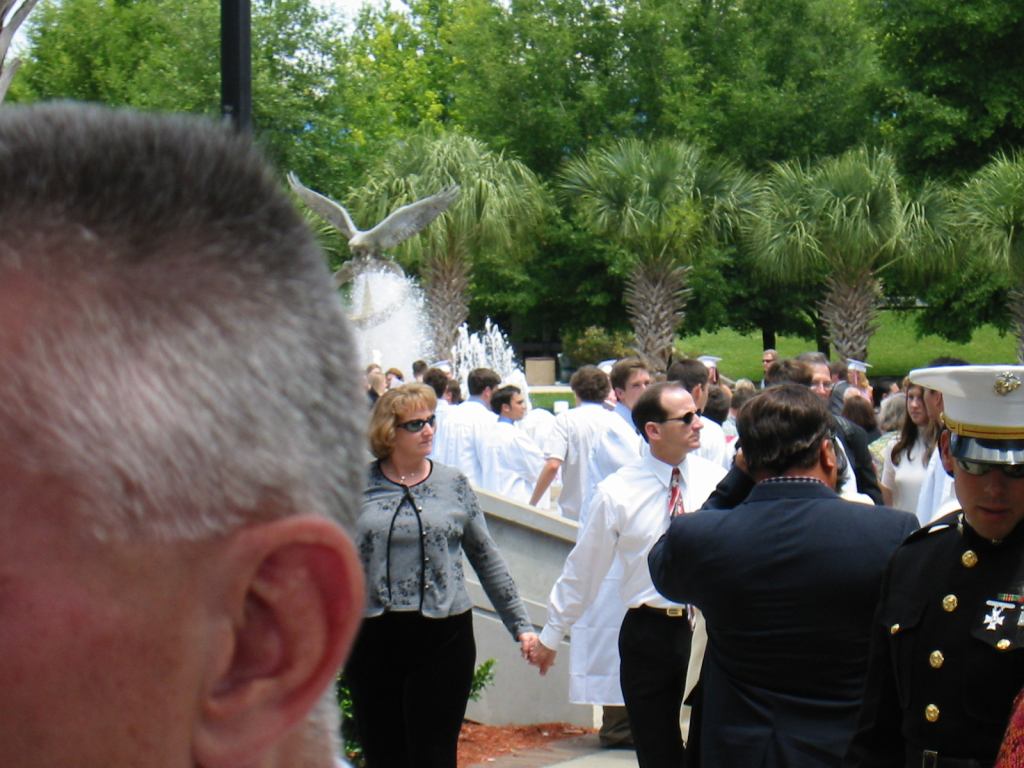 * Image 35