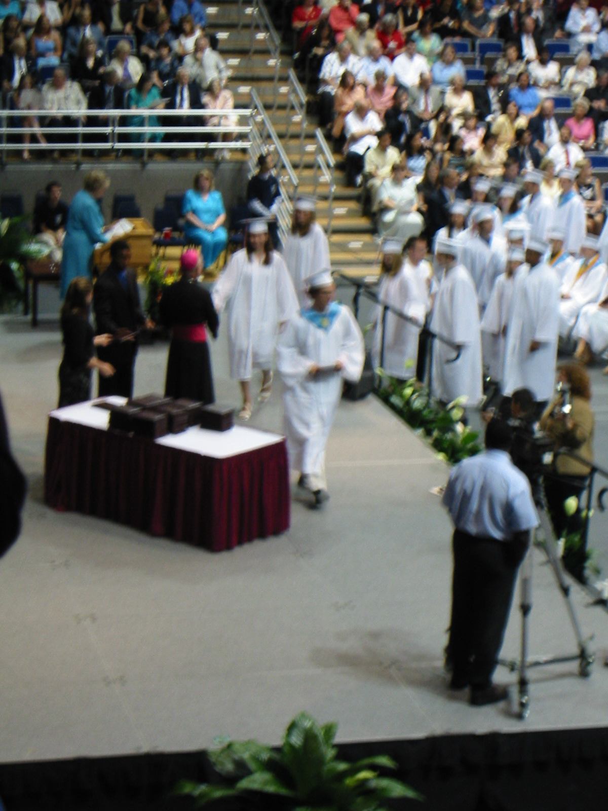 * Image 7