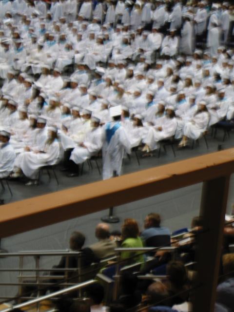 * Image 13