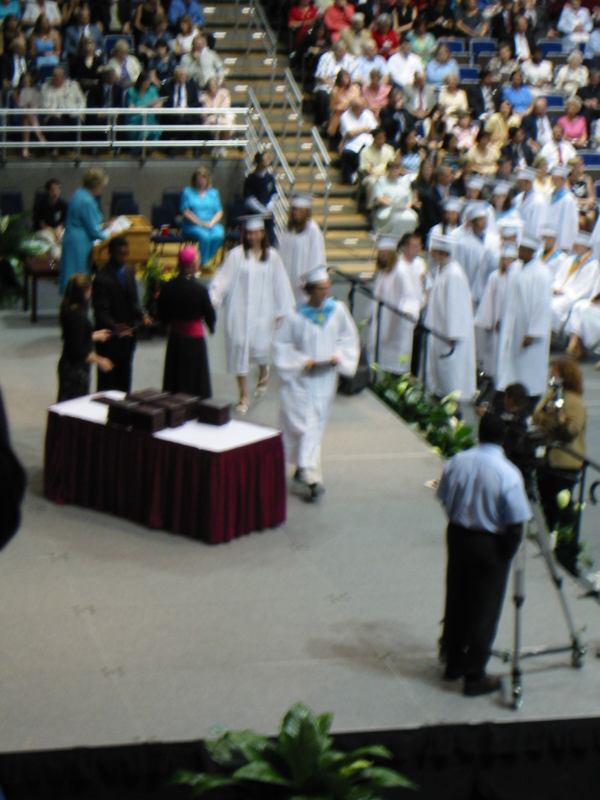 * Image 7