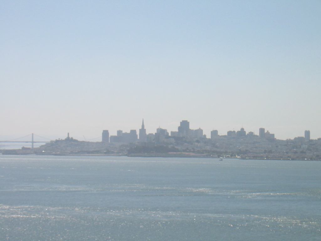 * Image 7