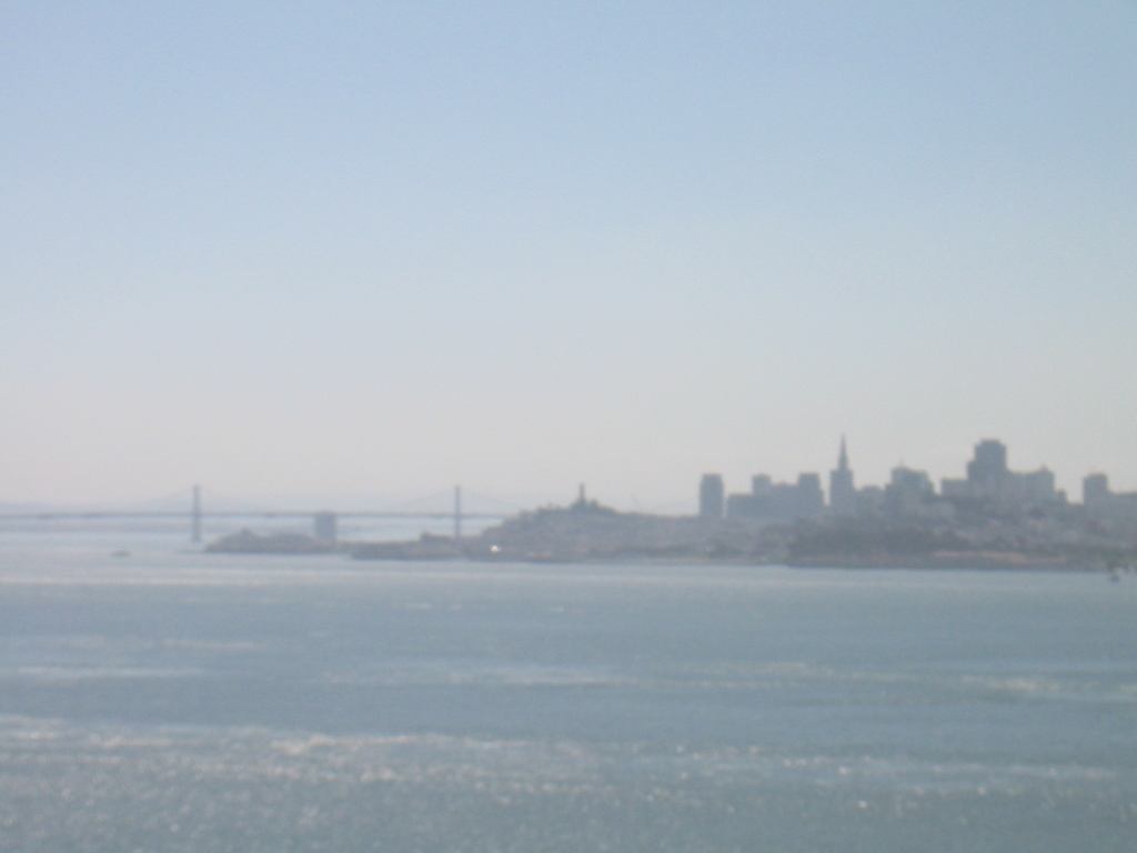 * Image 15