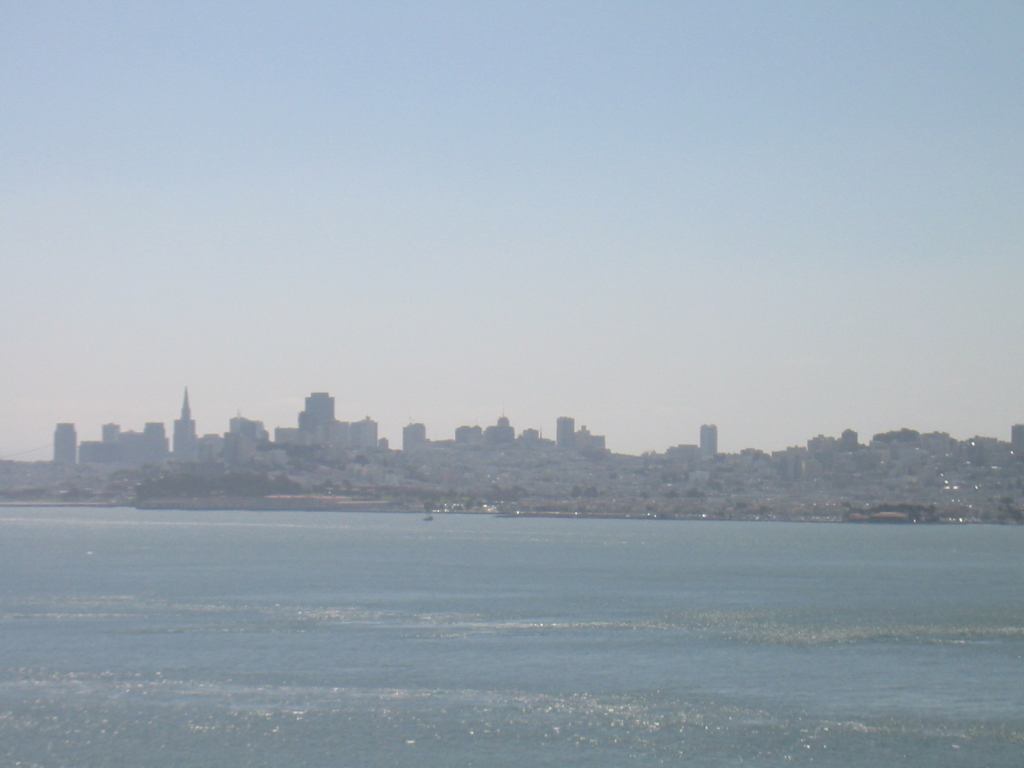 * Image 16
