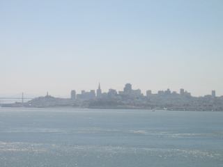 * Image 7
