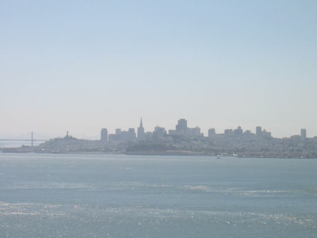 * Image 7