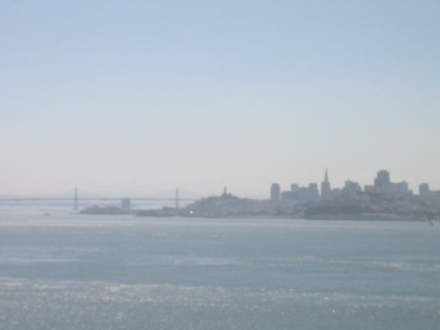 * Image 15