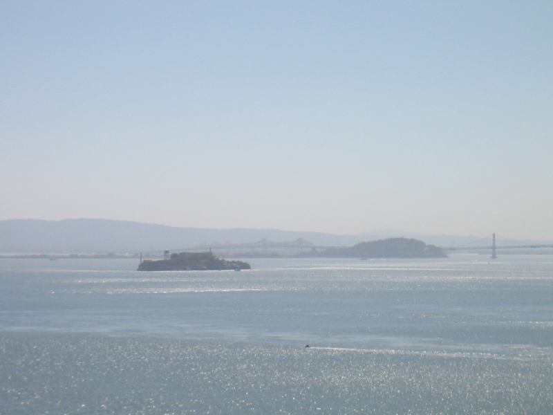 * Image 14