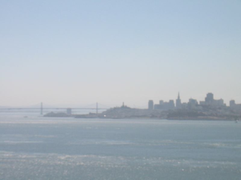 * Image 15