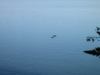 IMG_0101.JPG - 2002:05:11 11:14:10