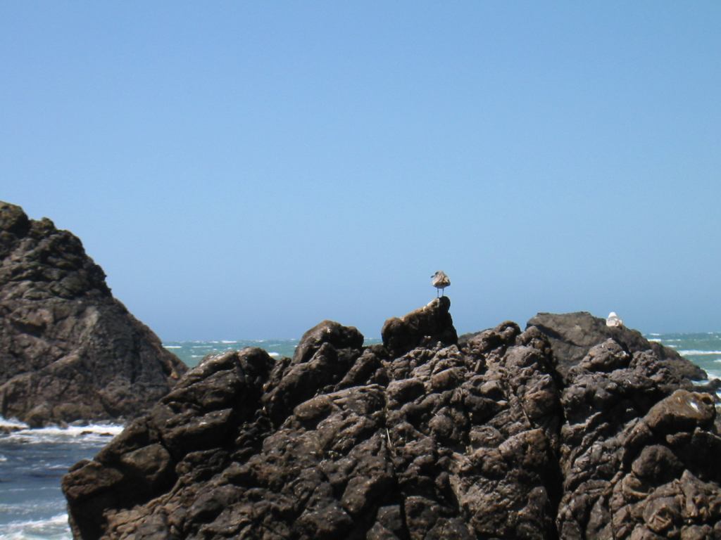 * Image 3