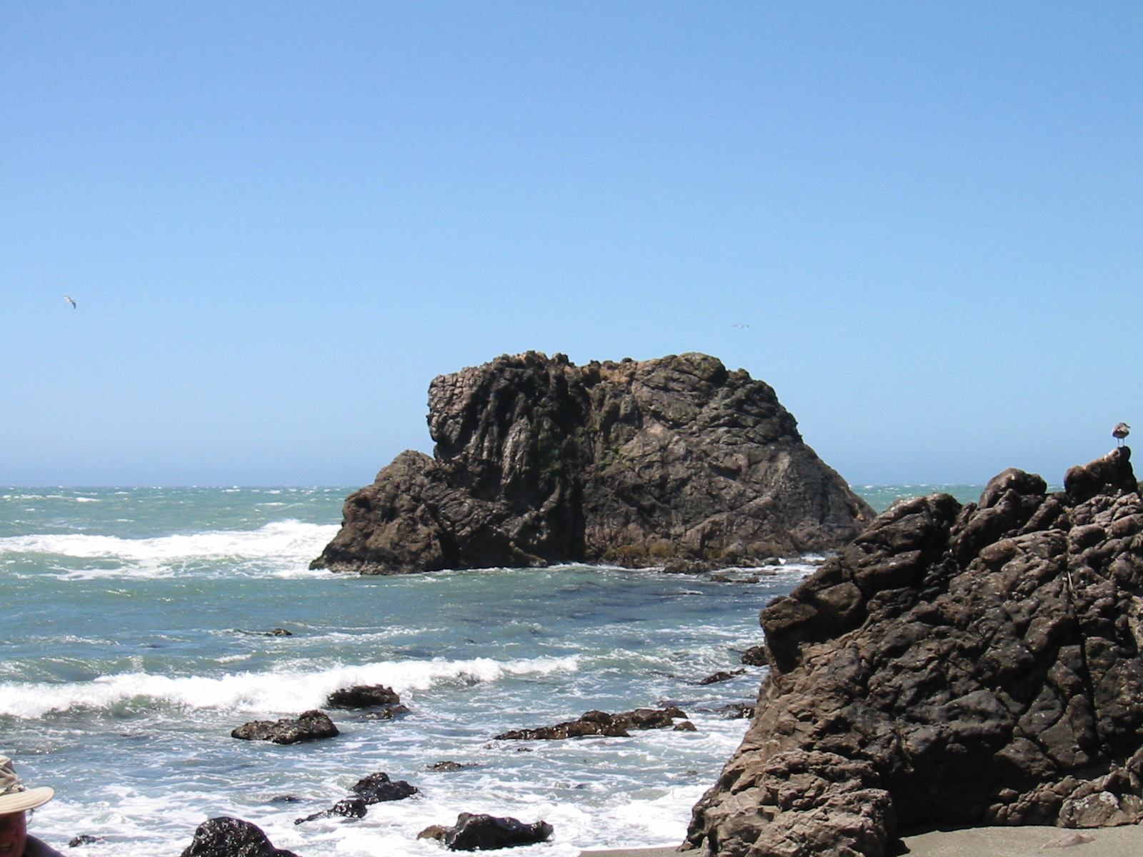 * Image 4