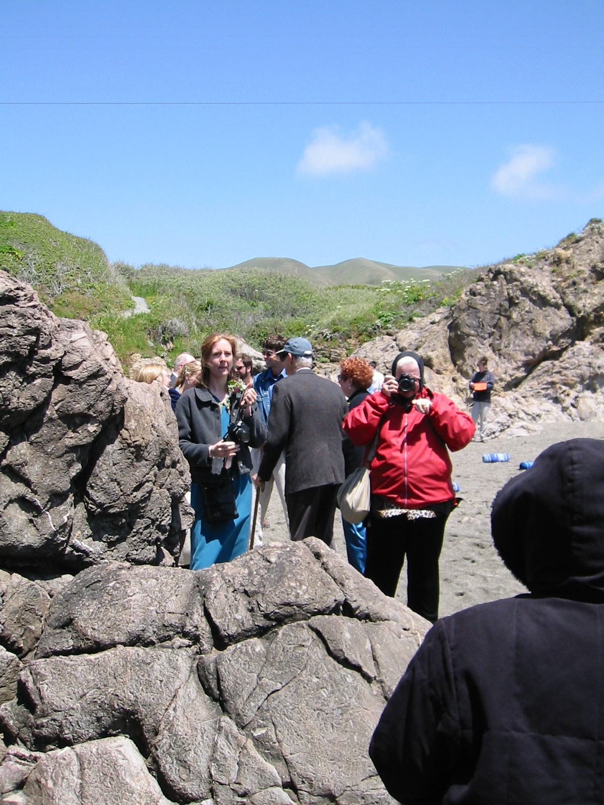 * Image 19