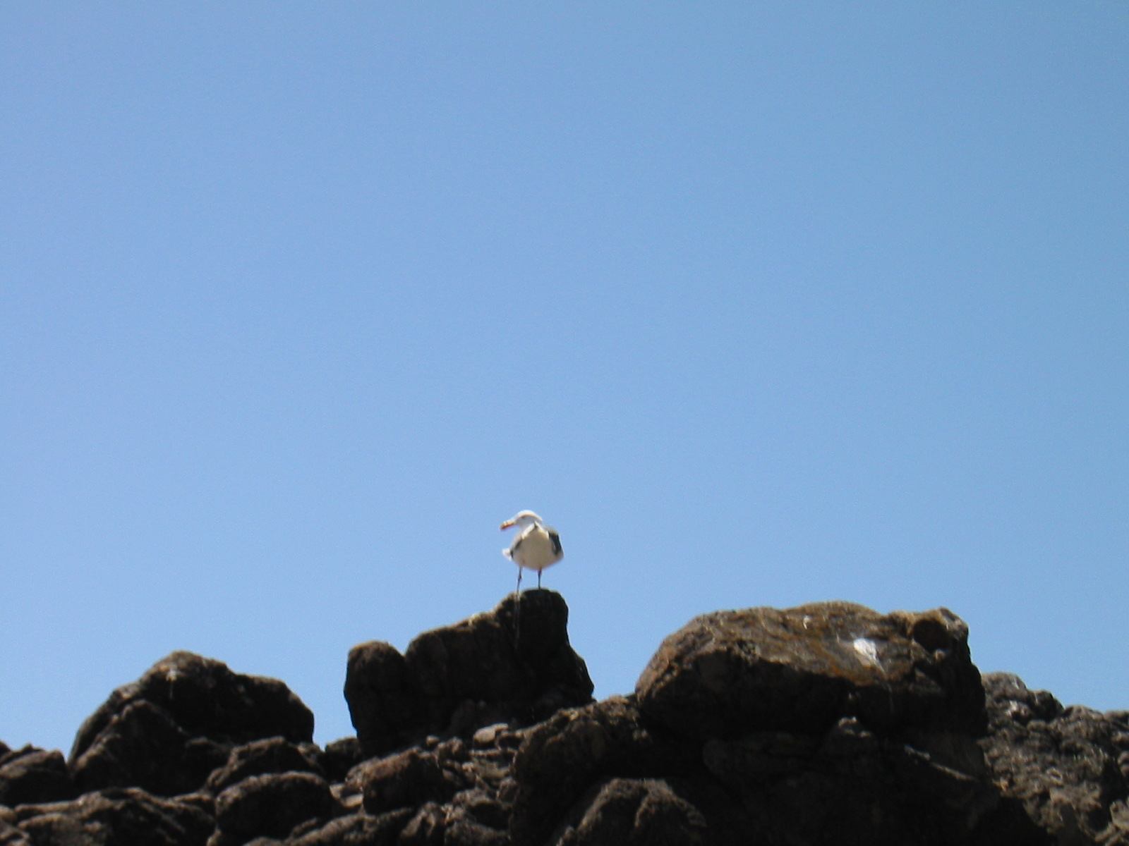 * Image 29