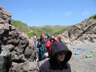 * Image 18