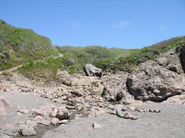 * Image 11