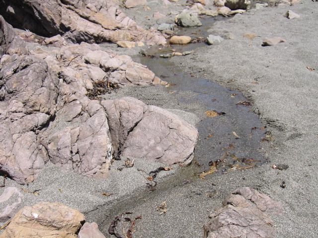 * Image 13