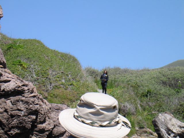 * Image 17