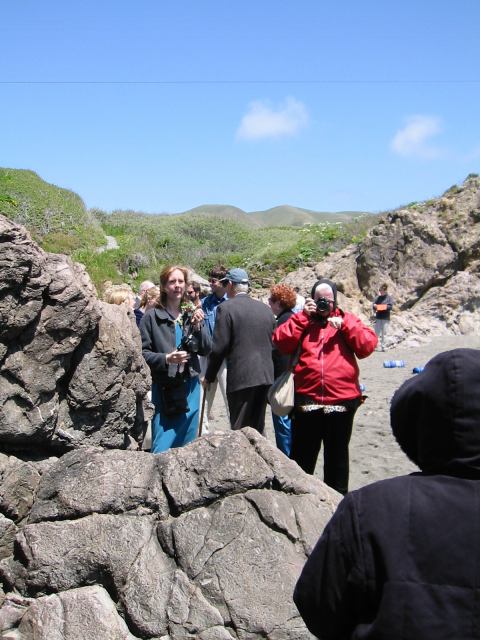 * Image 19