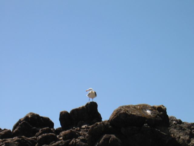 * Image 29