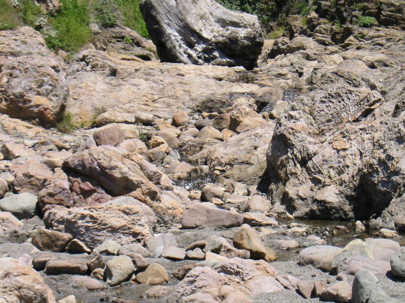 * Image 12