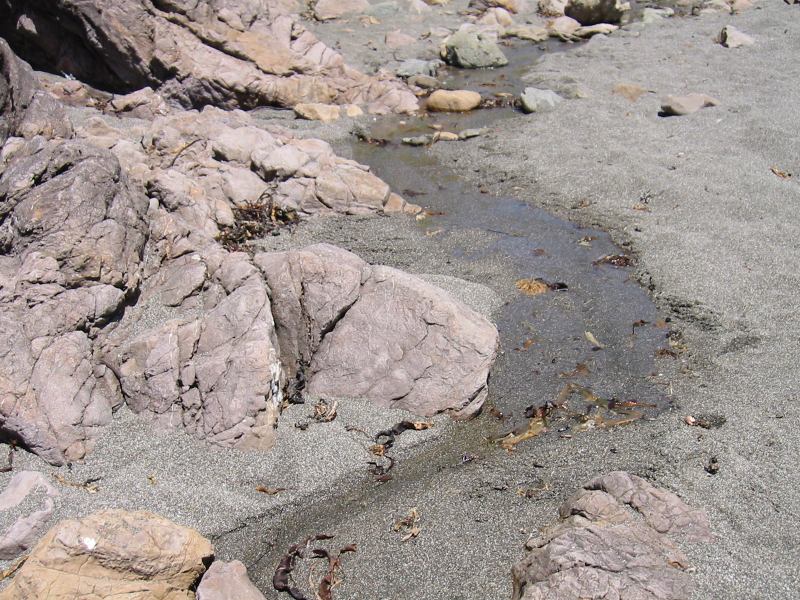 * Image 13