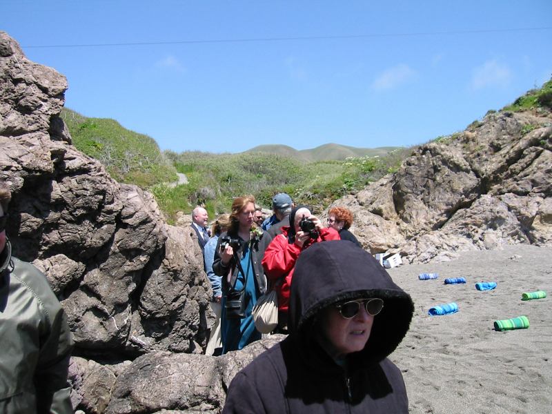 * Image 18