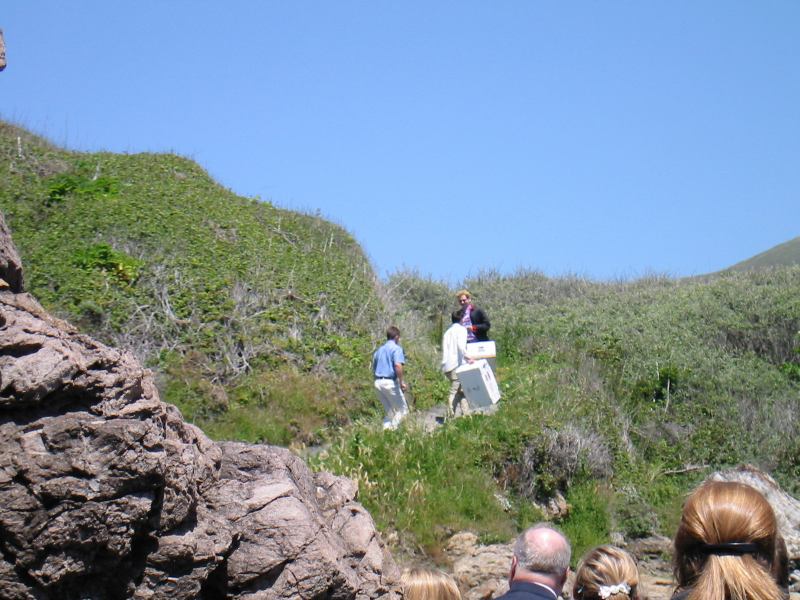 * Image 21