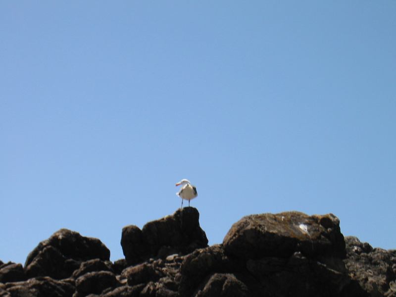 * Image 29