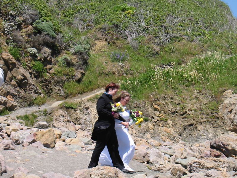 * Image 31