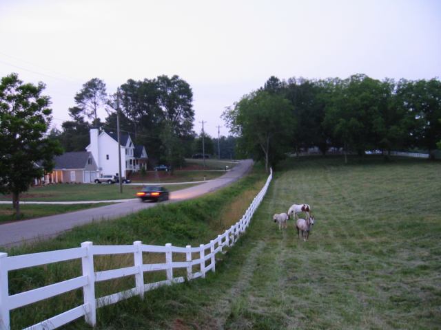 * Image 3