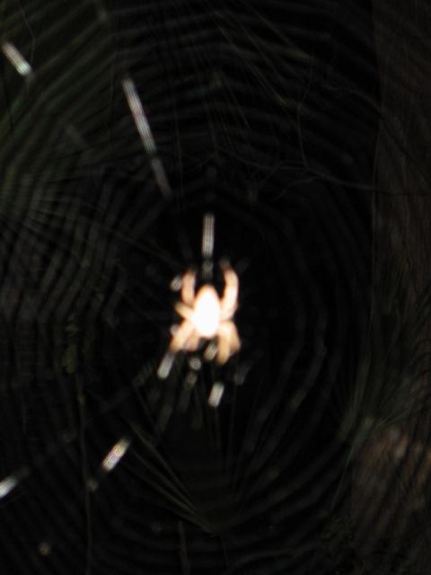 * Image 8