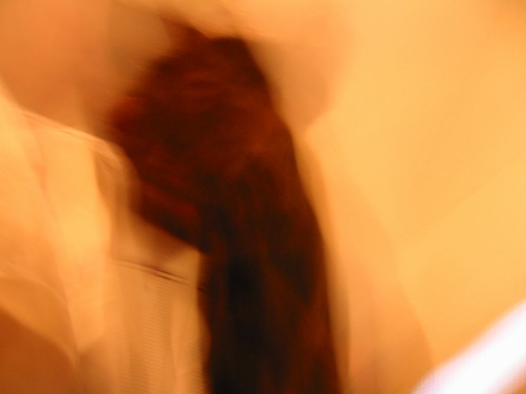 * Image 29