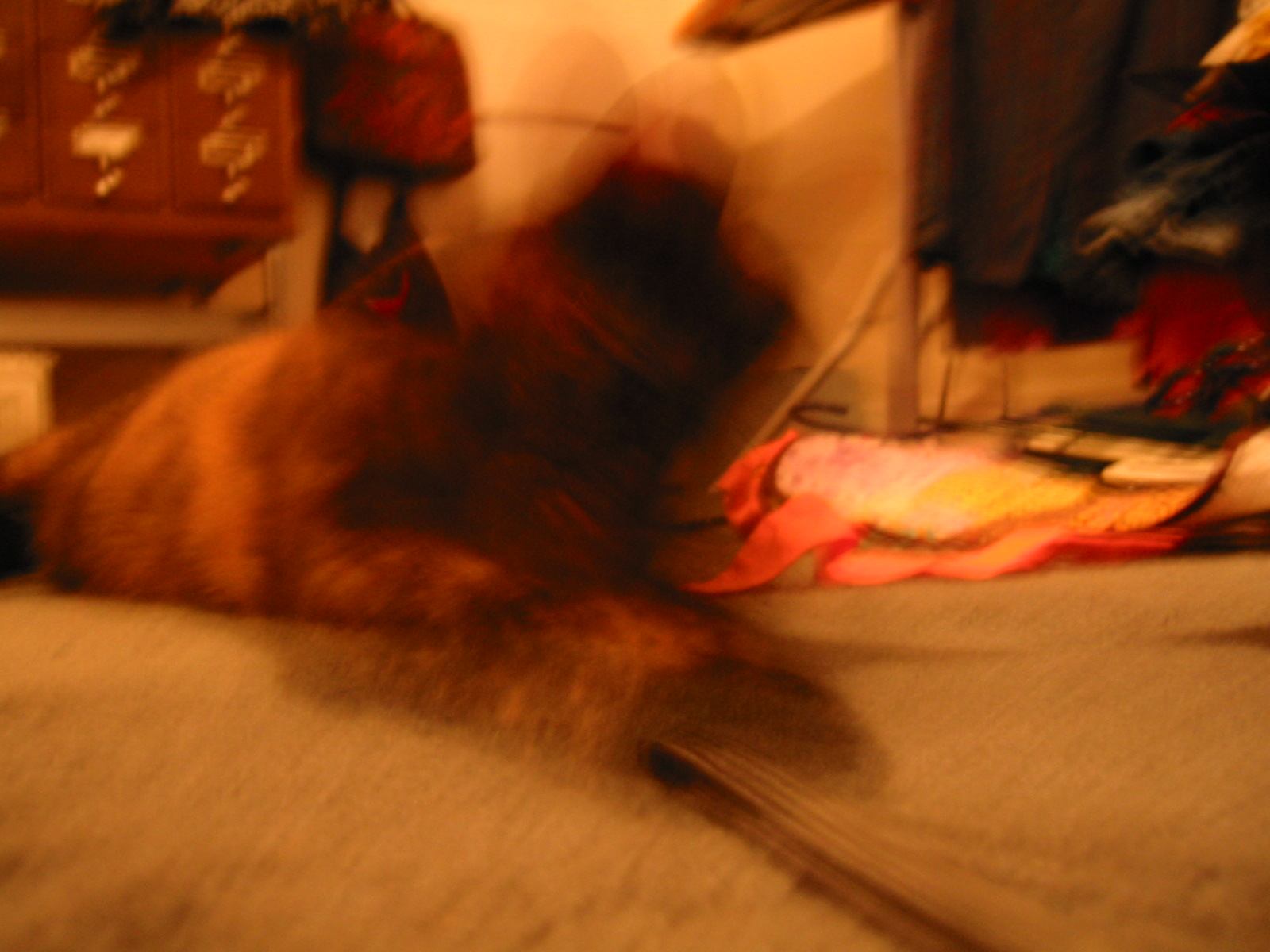 * Image 36
