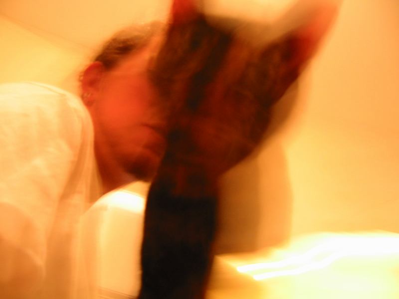 * Image 31