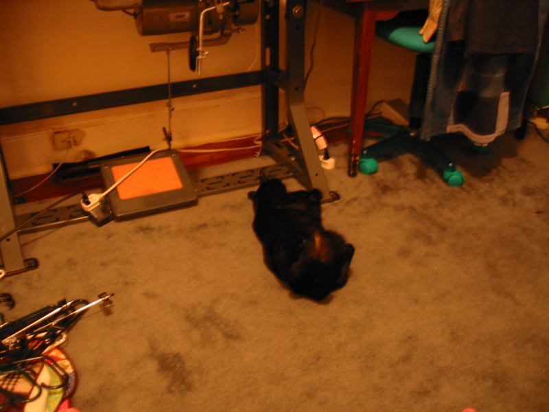* Image 38