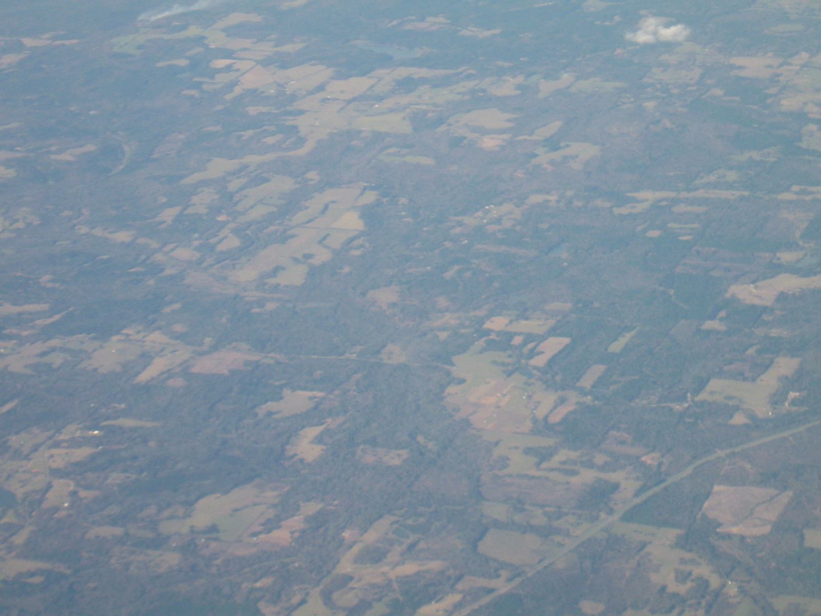 * Image 7