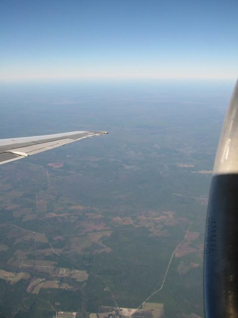 * Image 1