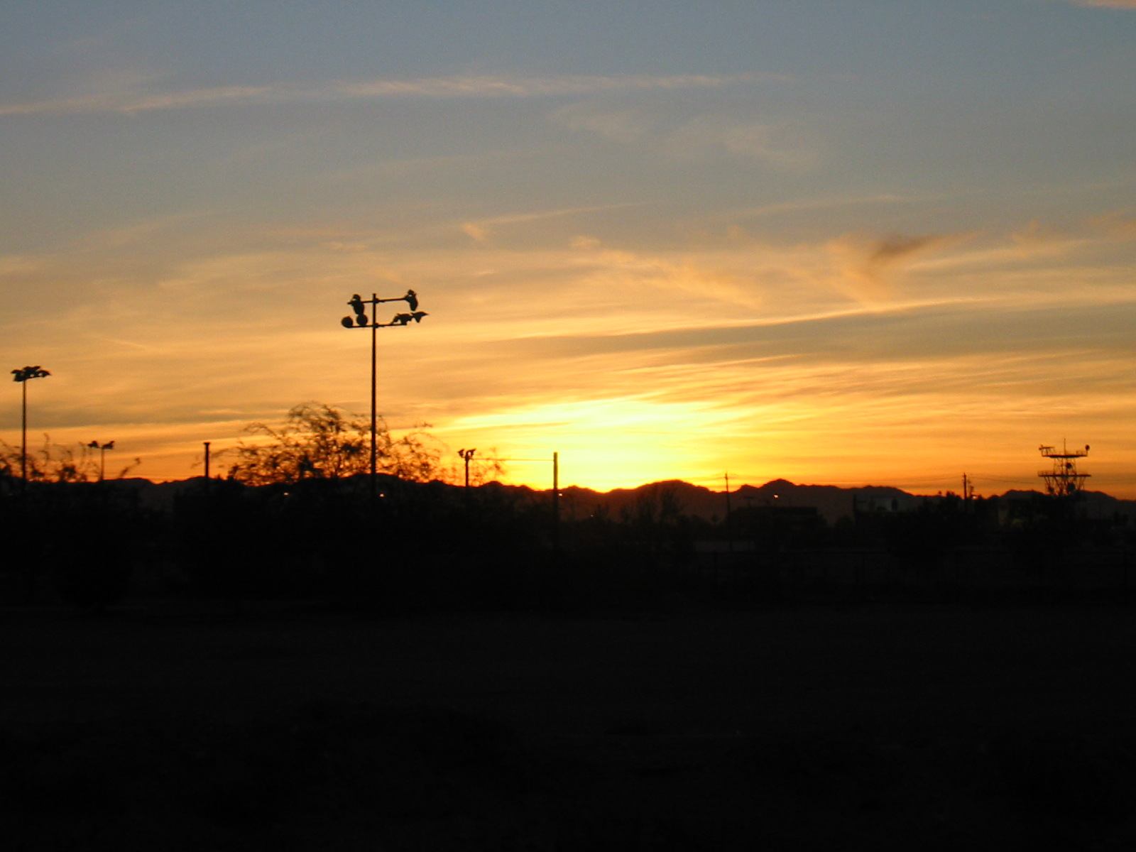 * Image 6