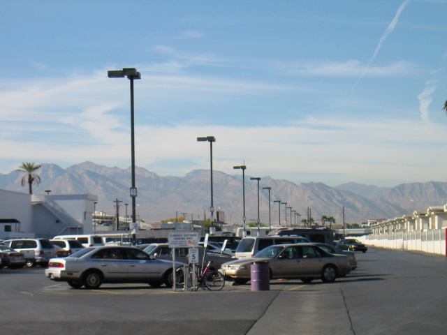 * Image 19