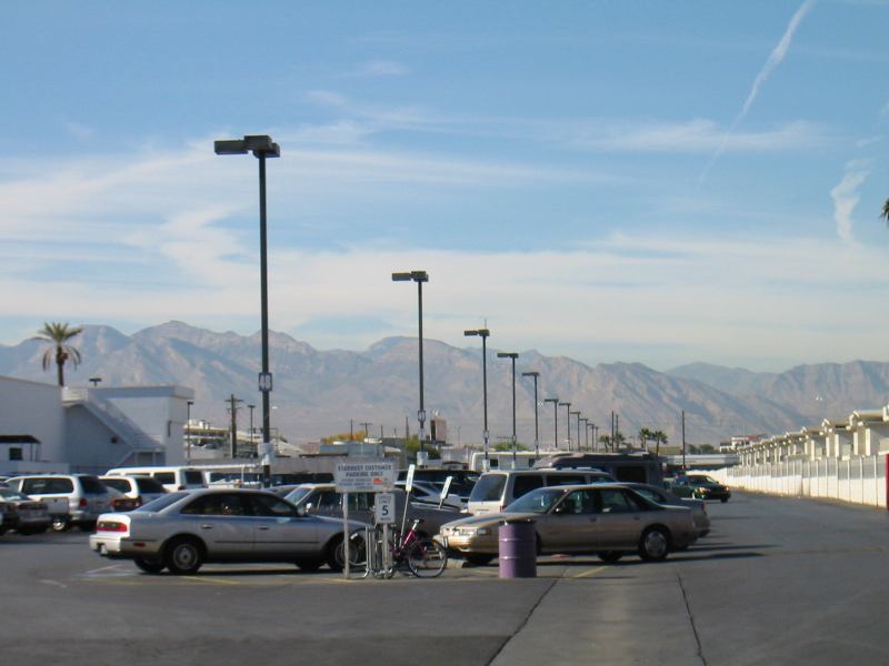 * Image 19