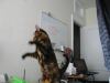 get back here.jpg - 2002:12:22 13:59:27