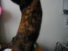 i'm long!.jpg - 2002:12:22 14:00:53