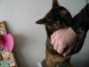 mmm people hands.jpg - 2002:12:22 14:00:34