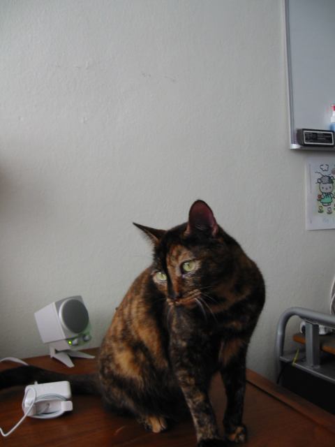 * Image 7