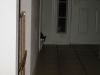 please change my litterbox PLEASE.jpg - 2002:12:25 18:32:02