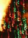 Roll 60 - 29.jpg - 2002:12:25 17:43:42