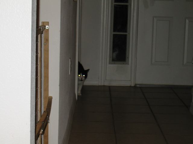* Image 59