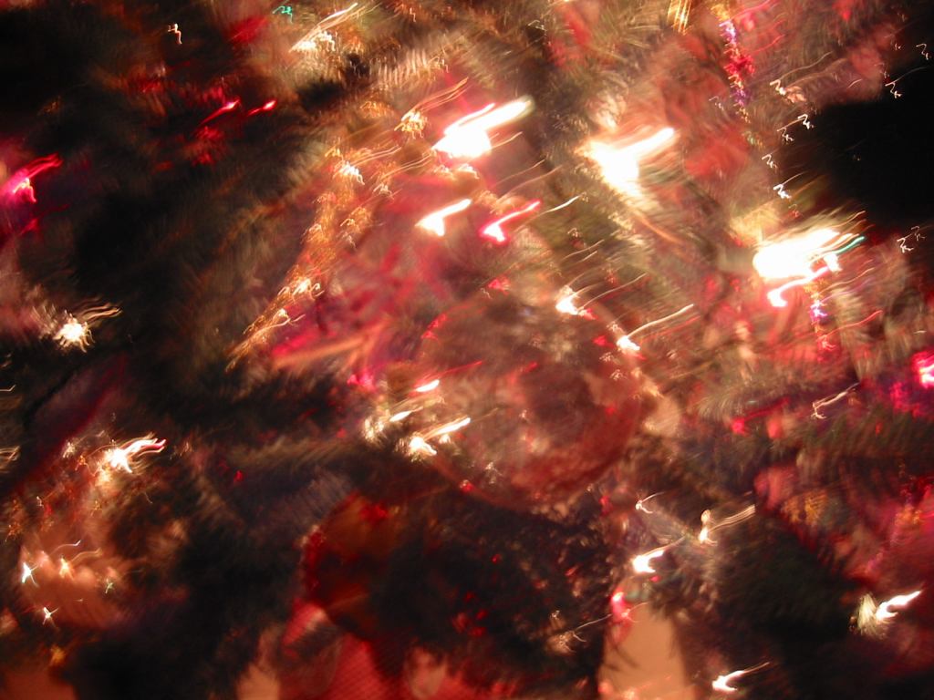 * Image 42
