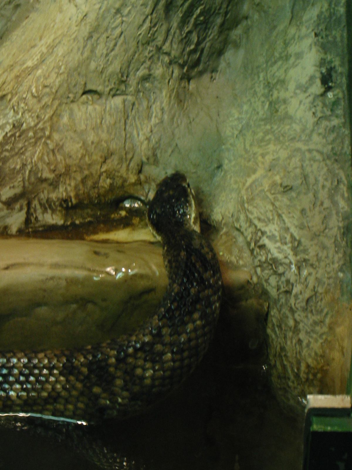 * Image 53