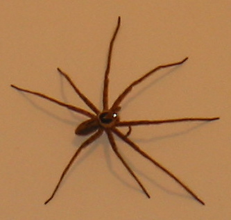 * Image 17
